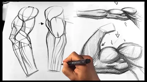 How to Draw People Step by Step