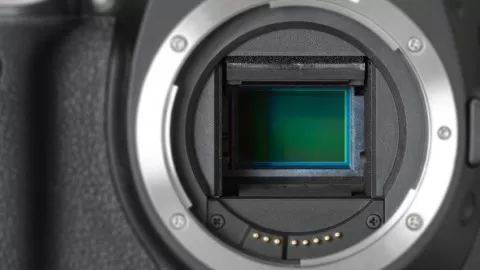 A professional course to learn cleaning your sensor by yourself as a pro.