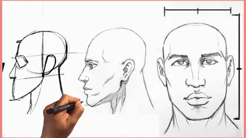 Drawing a Person Step by Step