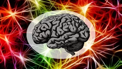 Understanding How the Brain Works