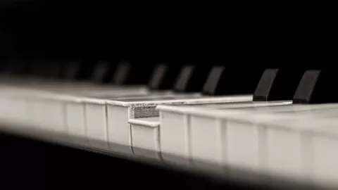 Classes for beginners (Chords