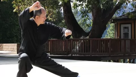 Learn Parts 2 and 3 of the classical Yang-style 108 long form of Tai Chi Chuan (Grand Ultimate Fist) with Master Yang.