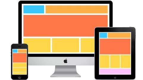 Learn responsive web development techniques and build a portfolio for your job search.
