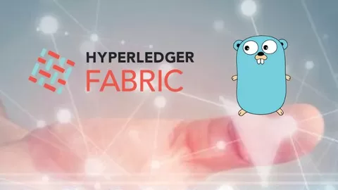Learn to develop Hyperledger Fabric Blockhain application (Chaincode) using latest Fabric 2.x version & go lang hands-on