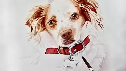 Guided instruction of Basic Watercolor Techniques and Painting a Realistic Dog.