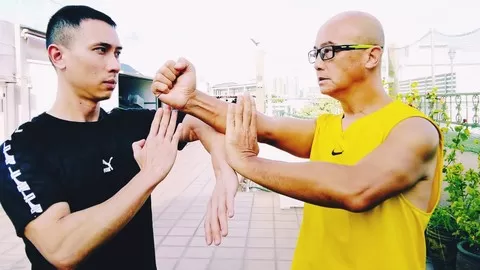 Dragon Sifu Wing Chun Chum Kiu (Cham Kiu) course is the intermediate course towards Wing Chun mastery.