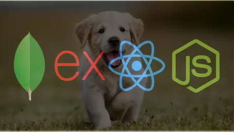 Learn how to create Full Stack Web applications using React as Front-End