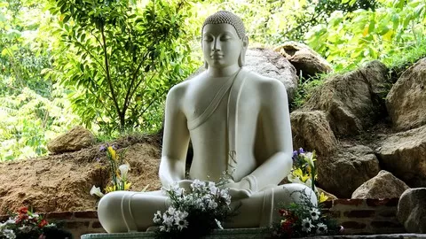 Buddhas Meditation Course