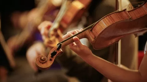A beginner's guide to playing the violin