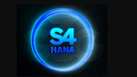 Learn SAP S/4hana system conversion project step by step