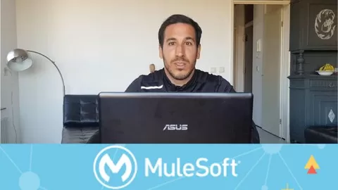 Dozens of examples to learn Mule 4 from zero to Intermediate. Don't waste more time