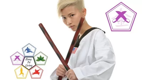 Stick Fighting Skills training from Kung Fu Living online training