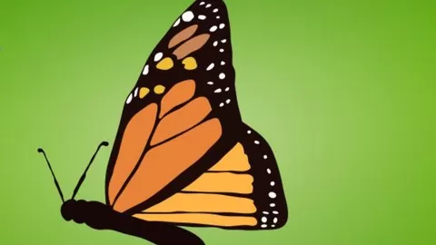 101 Reasons to Love Our Favorite Orange and Black Butterfly From A to Z