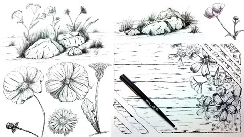 Discover how to draw and illustrate detailed flowers and rocks through sketching with pencil and pen & ink