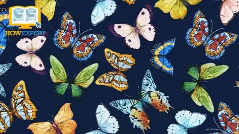 101 Tips to Learn Everything About Butterflies From A to Z