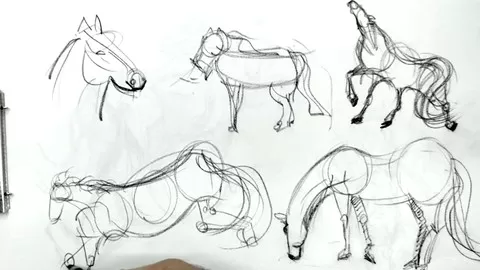 Drawing & Art Course with sketches