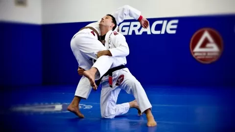 A powerful combination of fundamental and advanced techniques. (Martial Arts)