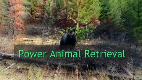 Learn how to find and bring back your friends Power Animals.