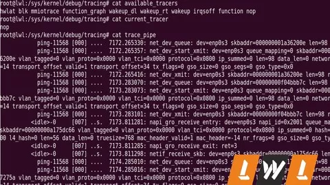 Linux Kernel Debugging Techniques