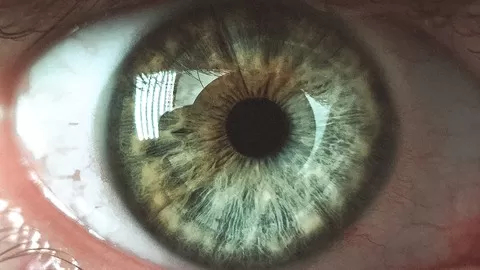 learn the iris signs that reveal our psychology