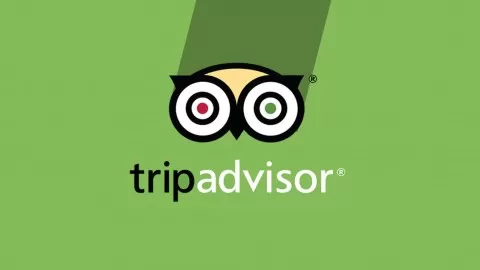 Step by Step guide on How we used TripAdvisor to generate eight digit business for hotels