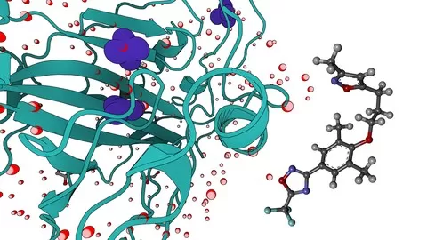 Molecular Dynamic Simulations for Drug Discovery