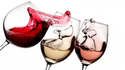 A practical introduction to enjoying wine.