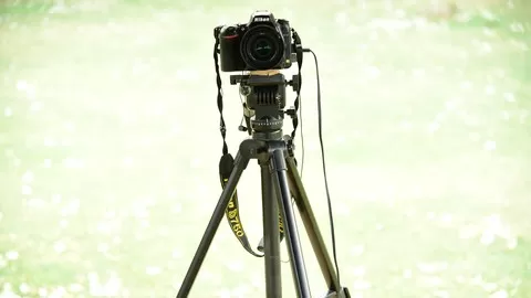 Learn D-SLR Camera Photography.