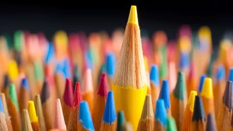 Draw Like a Pro With Colored Pencils