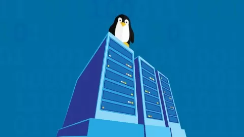 Step-by-step guide to personal server setup: from Linux OS installation to configuring personal web hosting platform