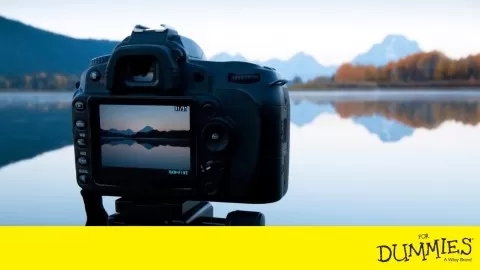 Easy-to-follow video training on getting better photos with a digital SLR camera!