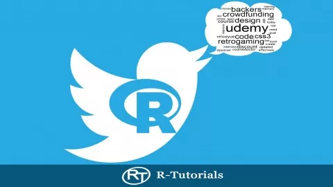 Learn how to use Twitter social media data for your R text mining work.