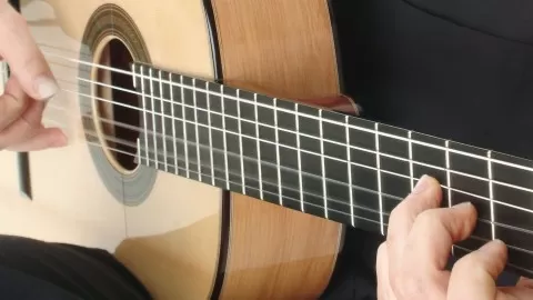 An in depth and detailed look at Flamenco guitar techniques and music.