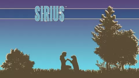 Learn how to train dogs the SIRIUS® way! Learn how to run and promote your own dog-friendly dog training business.