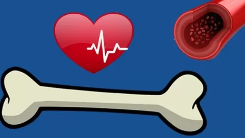 NCLEX Simplified presents the topics of Cardiac