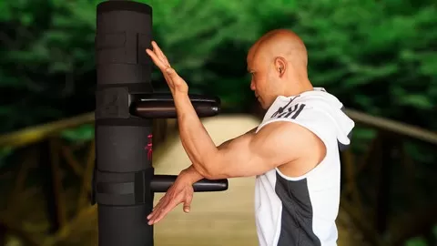 After completing the hand forms it is possible to reach a higher standard by moving on to Wing Chun 116 Dummy training.