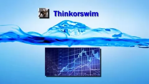Utilize very profitable techniques on the thinkorswim platform to make day trading your home base business.