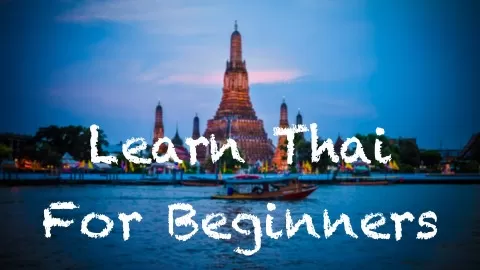Learn conversational Thai by starting to speak the language immediately through short and interactive video lessons