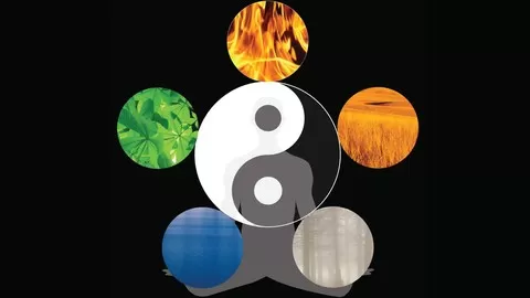 Learn How the 5 Element Theory in Traditional Chinese Medicine Can Enhance Your Health