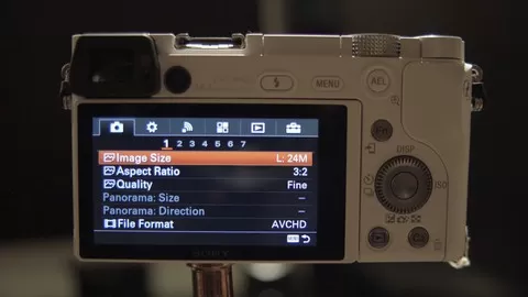 Decoding the mirrorless camera's buzzwords to take better