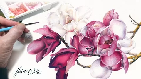 This foundation tutorial will help you understand essential work+studio basics for realistic watercolour and botanicals