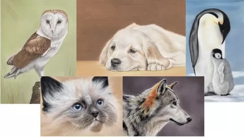You'll Learn How to Draw 5 Stunning Pictures. Follow Colin Step by Step and Draw a Puppy