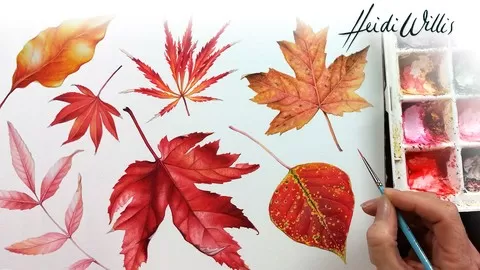 Exploring the incredible colours and textures of Autumn in the watercolour medium and botanical illustration genre
