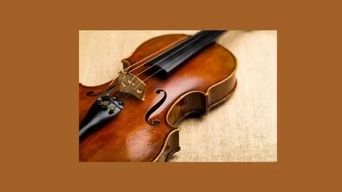 Everything you need to know to make your first steps on your violin or viola a success.