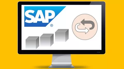 A SAP DeepDive in the SD Return process