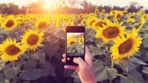 Sharpen your iPhone Photography skills: Ideal for Hobbyists
