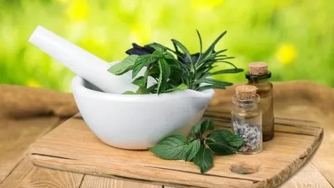 Take charge of your health with herbal medicine. Using herbs and natural holistic medicine is easy