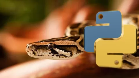 Only course that covers step by step Python learning with examples for easy understand-ability of Python programming