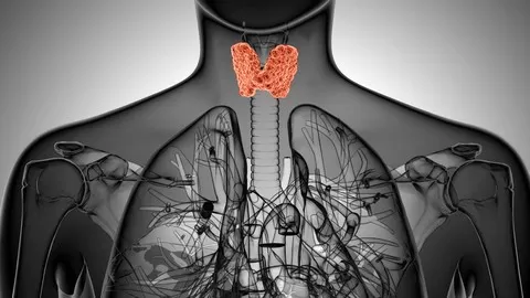 Take charge of your Thyroid Levels