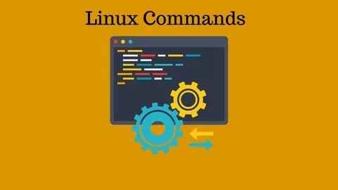 The Power Of Linux Is In The Commands Combined With Switches And Other Commands.